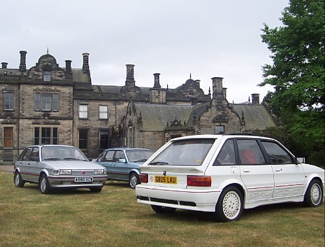 MG Maestro MG collection rear