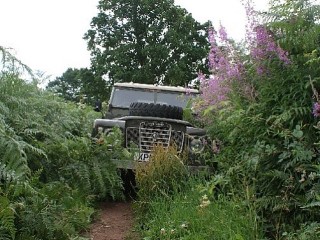 A Landie in it's natural habitat