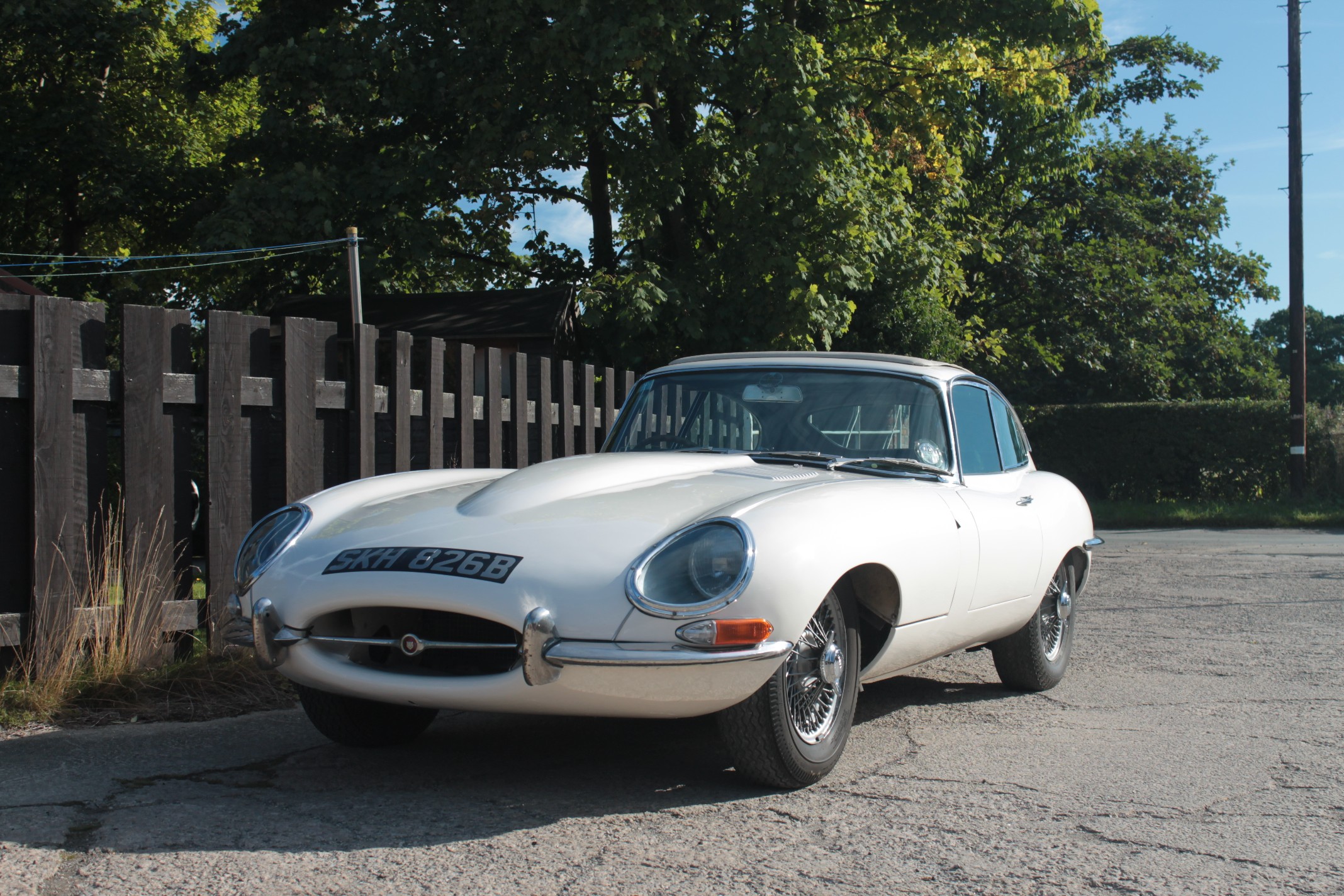 Do all cats have claws? From The Captain's Chair